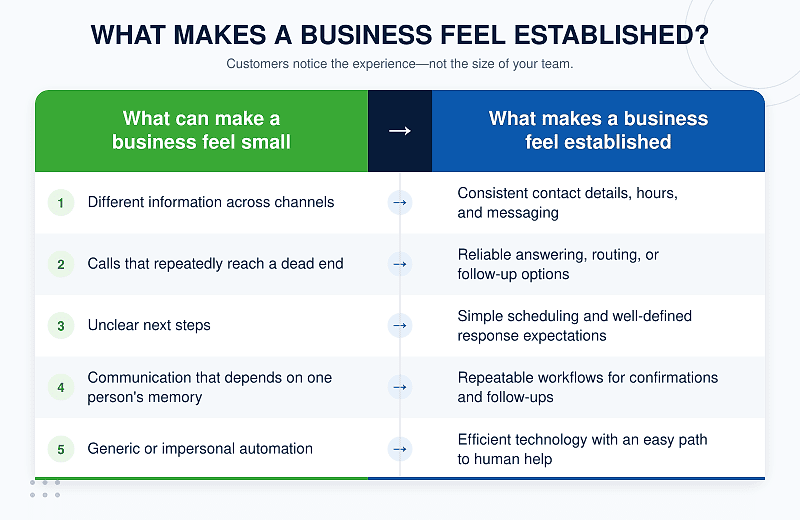 Small vs. established business comparison infographic.
